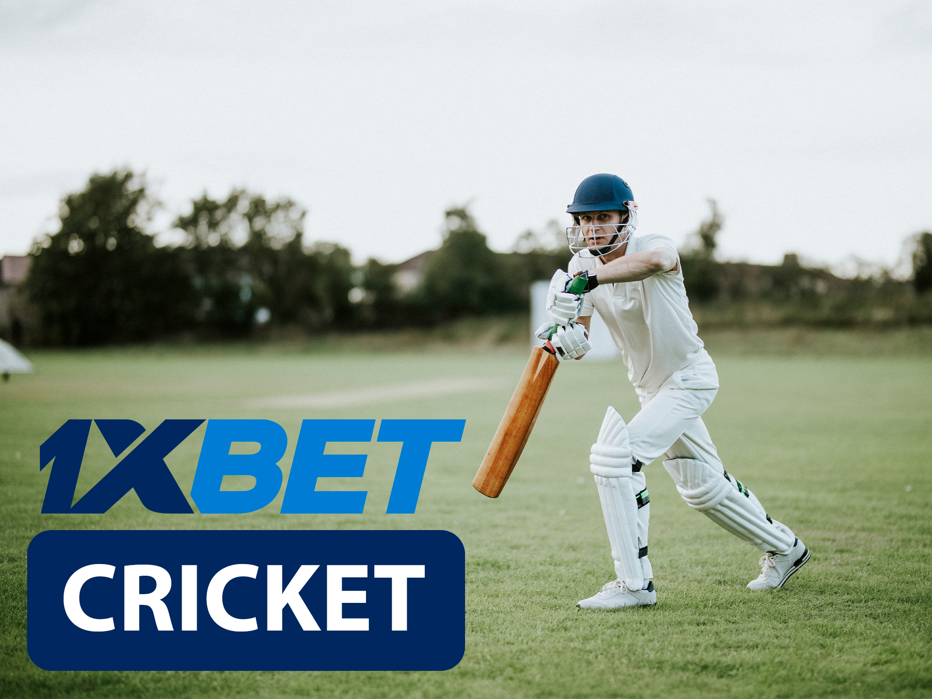 Start betting on cricket with 1xBet