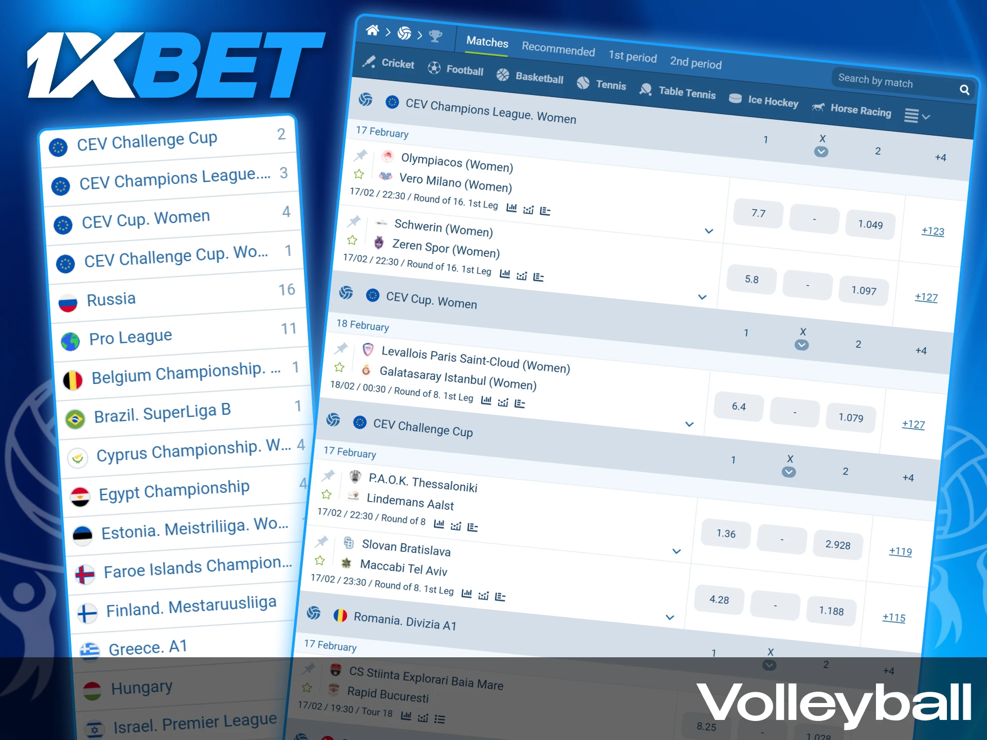 Betting options and match odds for national and international volleyball tournaments on 1xBet India.